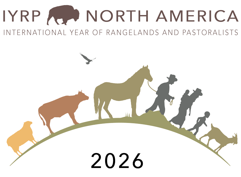 iyrp north america logo